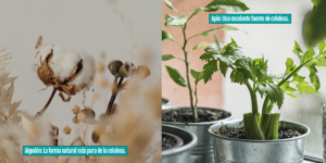 estrategias de marketing farmacéutico